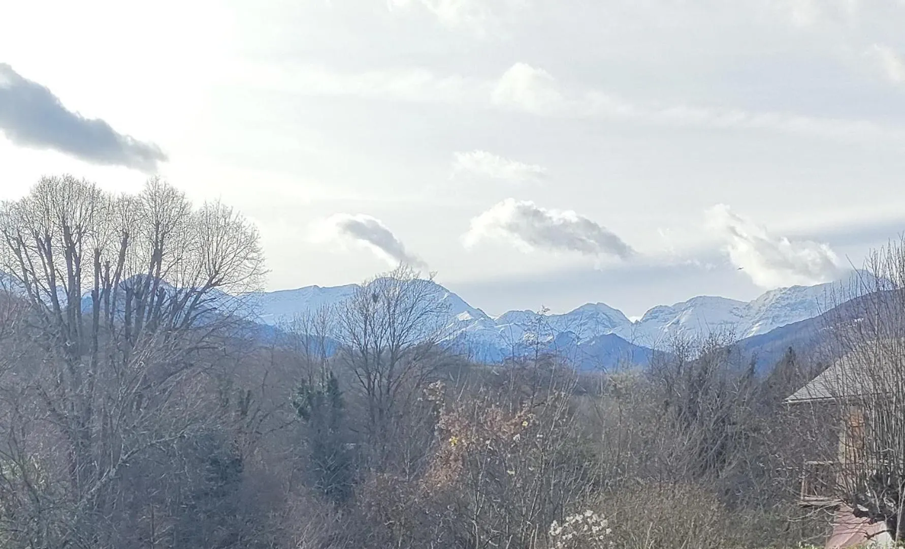 Ailes De La Maison De Chouliou Balagueres